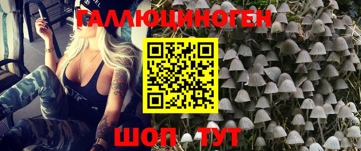 Псилоцибиновые грибы ЛСД  Вход с VPN  Галлюциногенные грибы GOLDEN TEACHER  Асино 