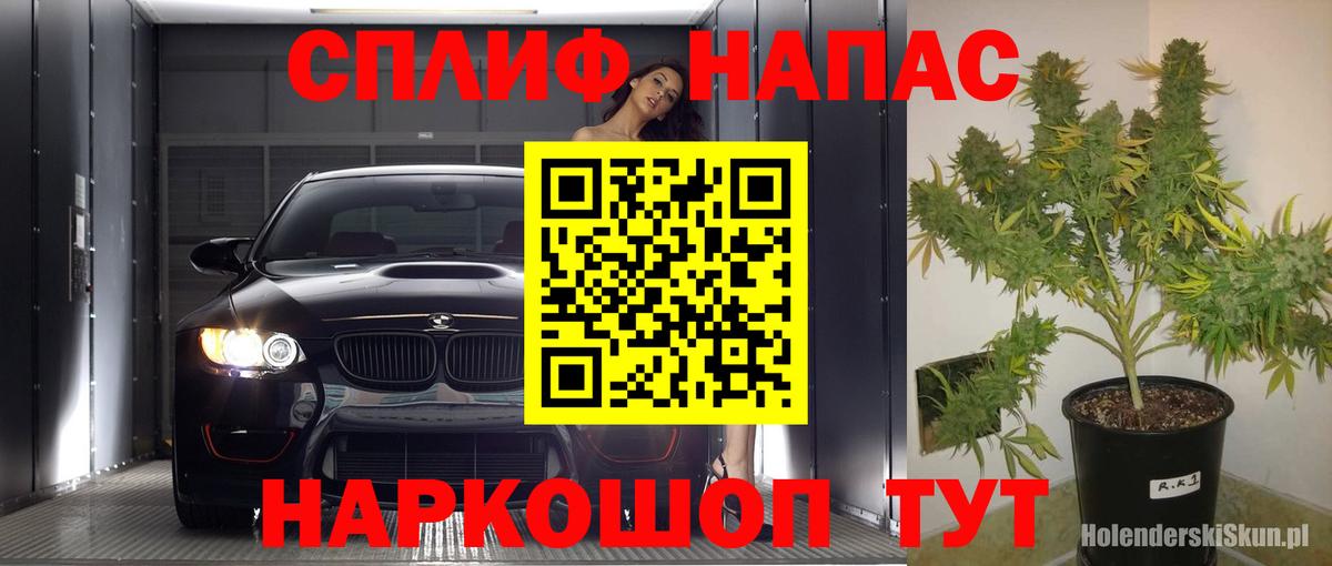 Бошки Шишки THC 21%  Вход с VPN  Асино  Бошки марихуана OG Kush  Каннабис Amnesia  Шишки марихуана SATIVA & INDICA 